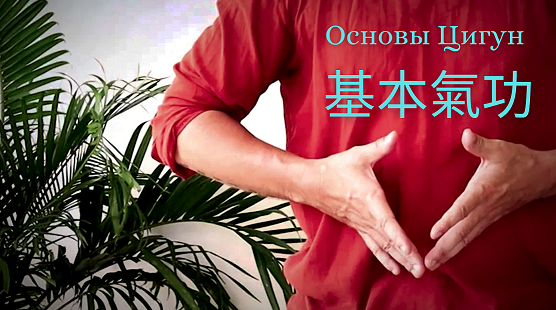 [Дамо Митчелл] Основы Цигун (2022)_0.png